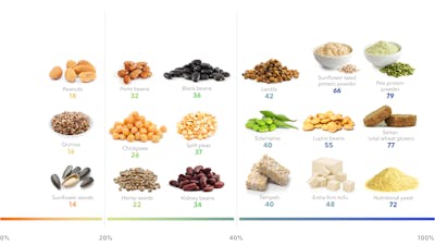 The best plant-based high-protein foods