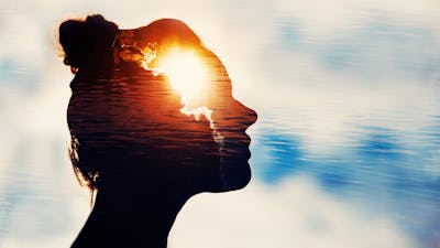 Food for thought: Does the brain need carbs?