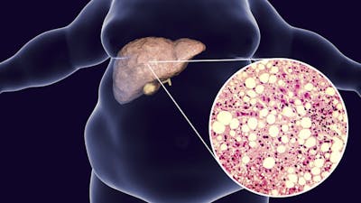 The science of low carb