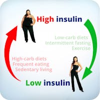 Low-carb TV