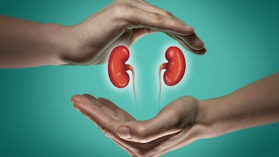 A low-carb diet and your kidneys