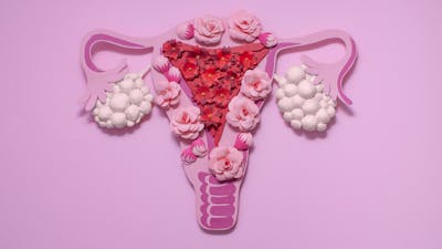How to potentially reverse PCOS with low carb