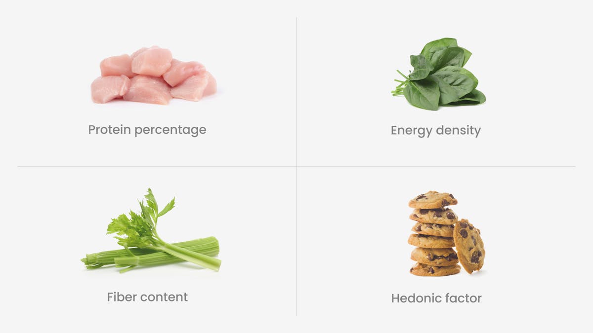 The-science-of-satiety